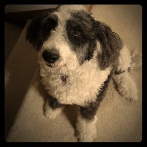 Like this 😁 2 bookmark